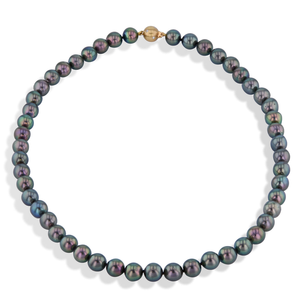 Fifty Black Akoya Pearl Necklace Necklaces H&H Jewels