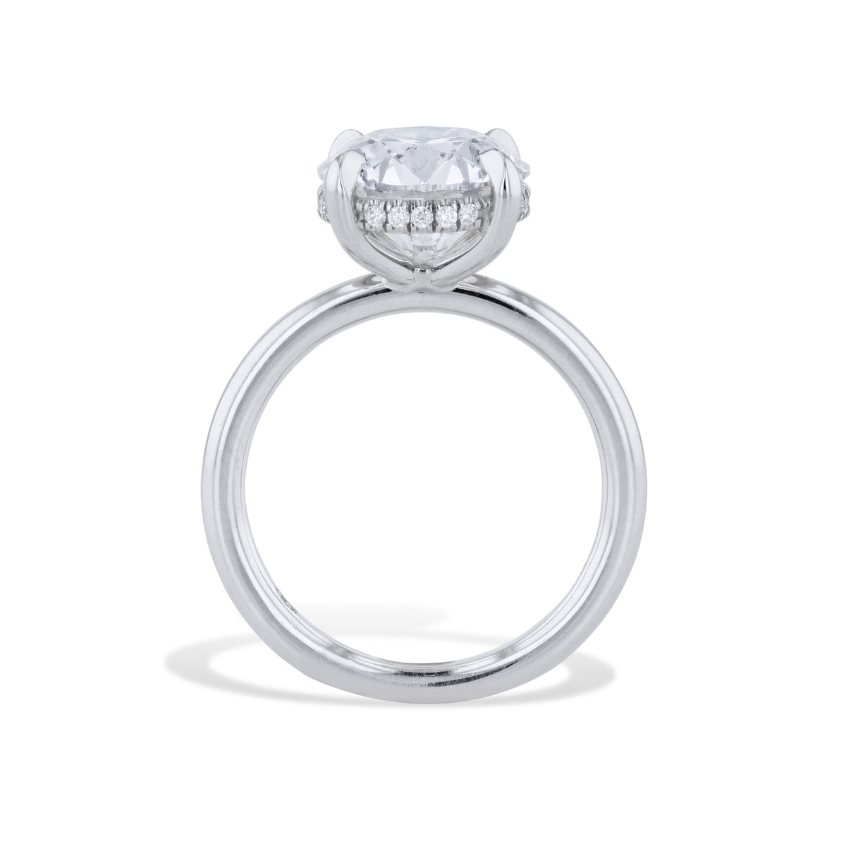3.82 Carat Round Diamond Platinum Engagement Ring - Alternate View 1