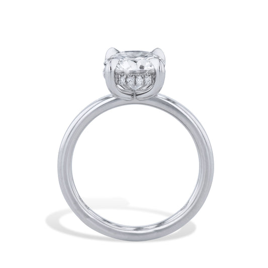Platinum Round Diamond Engagement Ring Rings H&H Jewels