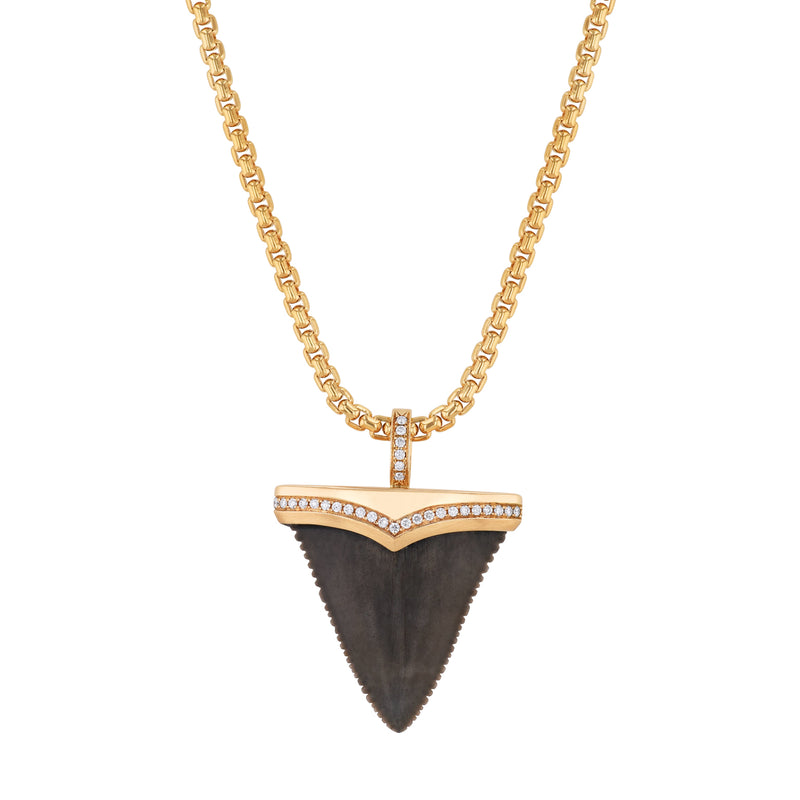 Fossilized Great White Shark Tooth 18kt Yellow Gold Pendant Necklace Necklaces H&H Jewels