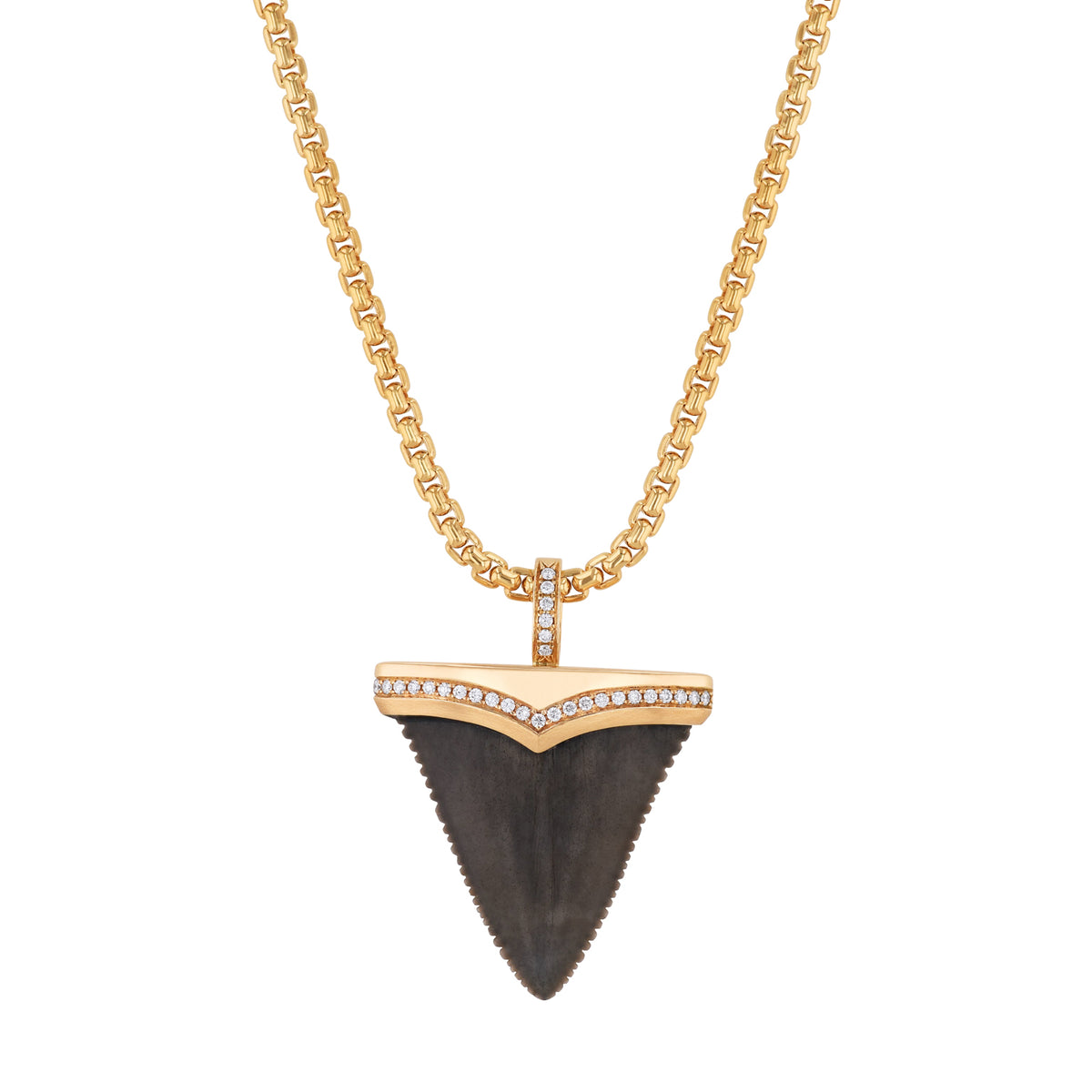 Fossilized Great White Shark Tooth 18kt Yellow Gold Pendant Necklace Necklaces H&H Jewels